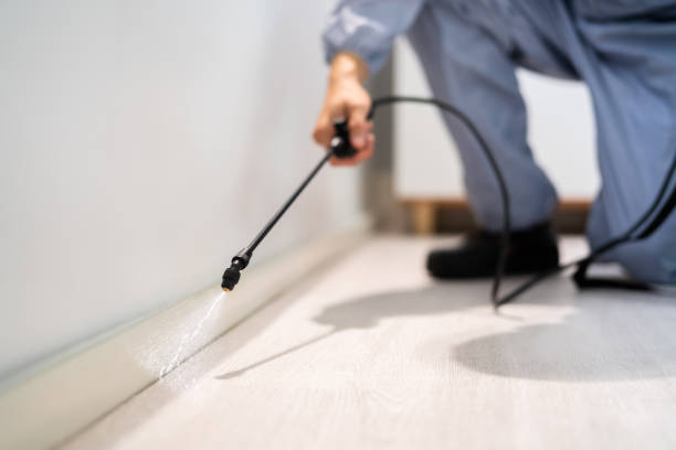 Licensed Pest Control service in Cumberland Hill, RI - Show Me Pest Control