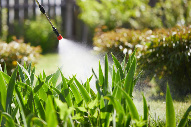 24/7 Emergency Mosquito Control experts in Cumberland Hill, RI