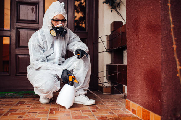 Reliable Mosquito Control contractor in Cumberland Hill, RI by Show Me Pest Control
